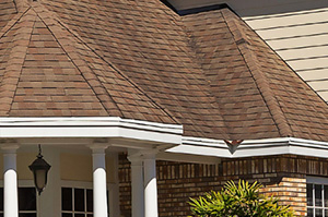 Mildew Removal image